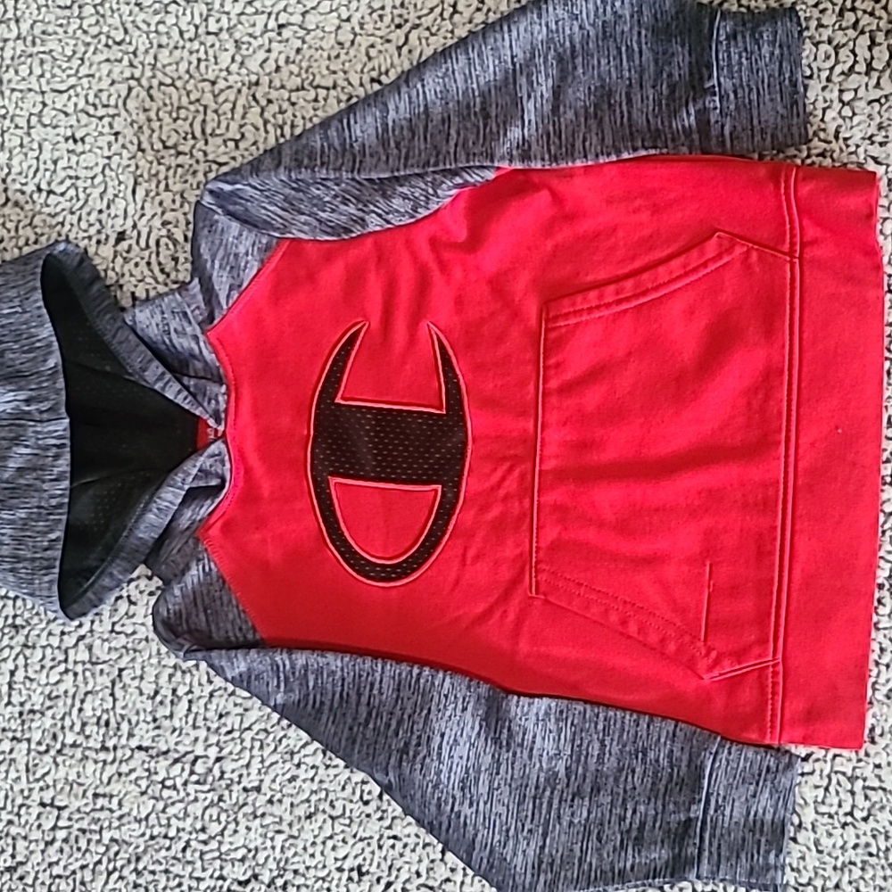 Boys Champiom Hoodies - Picture 2 of 2
